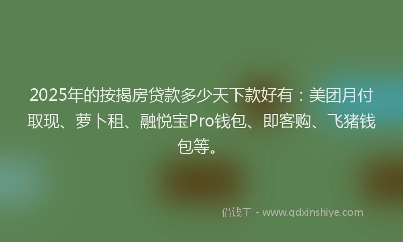 2025年的按揭房贷款多少天下款好有：美团月付取现、萝卜租、融悦宝Pro钱包、即客购、飞猪钱包等。