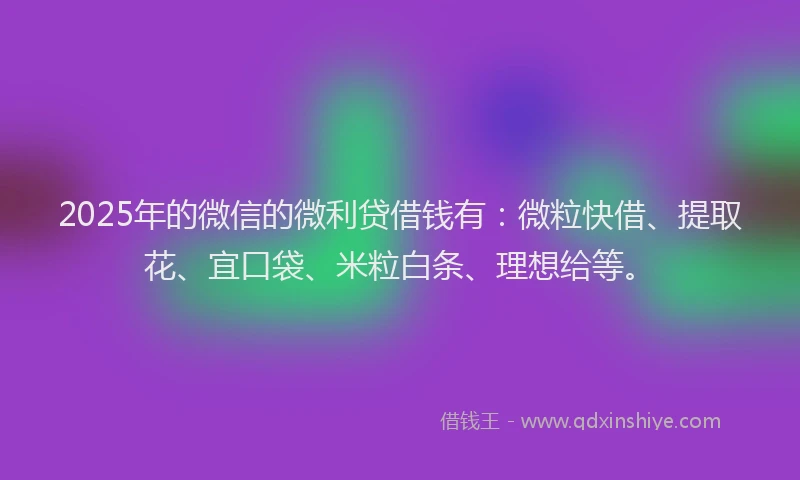2025年的微信的微利贷借钱有：微粒快借、提取花、宜口袋、米粒白条、理想给等。