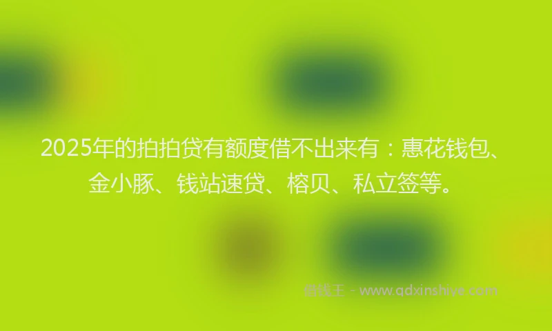 2025年的拍拍贷有额度借不出来有：惠花钱包、金小豚、钱站速贷、榕贝、私立签等。