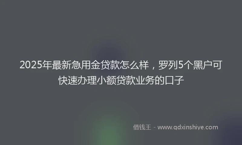 2025年最新急用金贷款怎么样，罗列5个黑户可快速办理小额贷款业务的口子