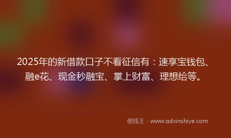 2025年的新借款口子不看征信有：速享宝钱包、融e花、现金秒融宝、掌上财富、理想给等。