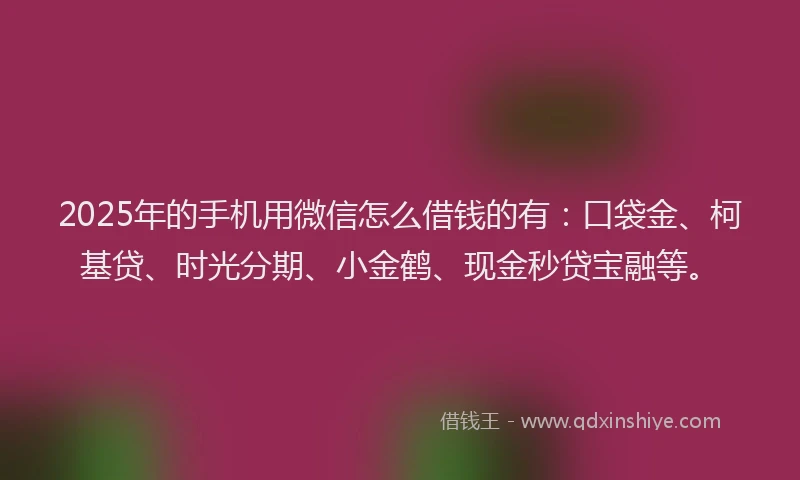 2025年的手机用微信怎么借钱的有：口袋金、柯基贷、时光分期、小金鹤、现金秒贷宝融等。
