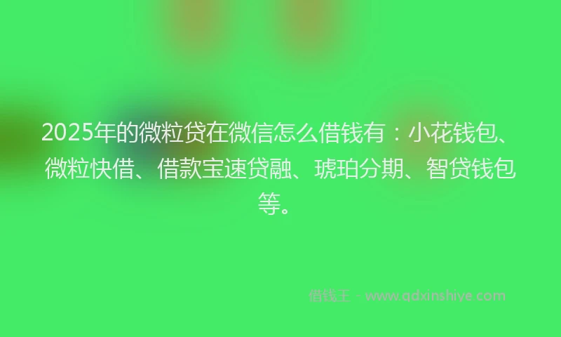 2025年的微粒贷在微信怎么借钱有：小花钱包、微粒快借、借款宝速贷融、琥珀分期、智贷钱包等。