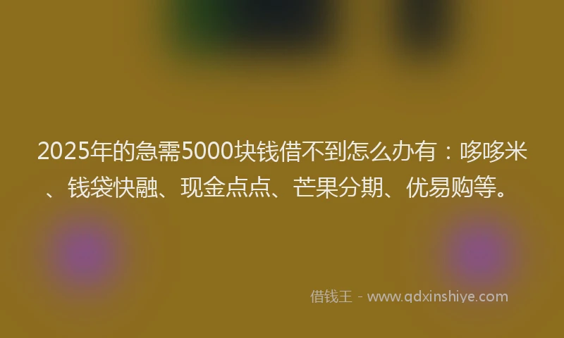 2025年的急需5000块钱借不到怎么办有：哆哆米、钱袋快融、现金点点、芒果分期、优易购等。