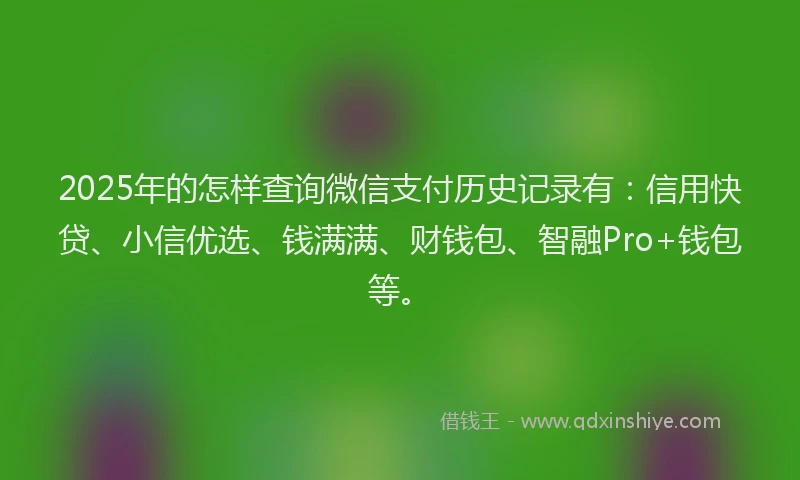 2025年的怎样查询微信支付历史记录有：信用快贷、小信优选、钱满满、财钱包、智融Pro+钱包等。