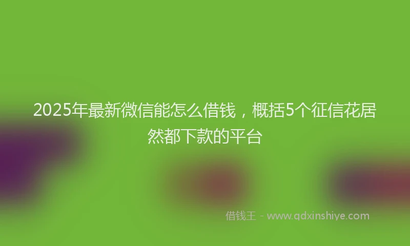 2025年最新微信能怎么借钱，概括5个征信花居然都下款的平台