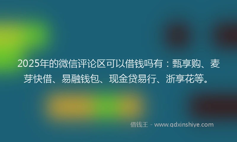 2025年的微信评论区可以借钱吗有：甄享购、麦芽快借、易融钱包、现金贷易行、浙享花等。
