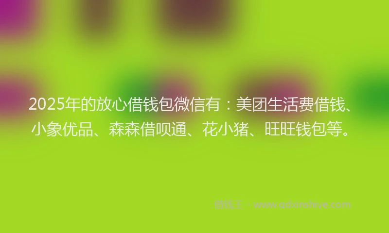 2025年的放心借钱包微信有：美团生活费借钱、小象优品、森森借呗通、花小猪、旺旺钱包等。