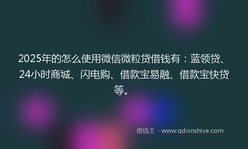 2025年的怎么使用微信微粒贷借钱有：蓝领贷、24小时商城、闪电购、借款宝易融、借款宝快贷等。