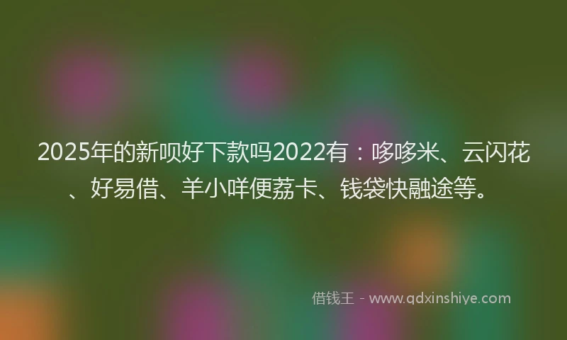 2025年的新呗好下款吗2022有：哆哆米、云闪花、好易借、羊小咩便荔卡、钱袋快融途等。
