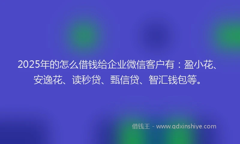 2025年的怎么借钱给企业微信客户有：盈小花、安逸花、读秒贷、甄信贷、智汇钱包等。