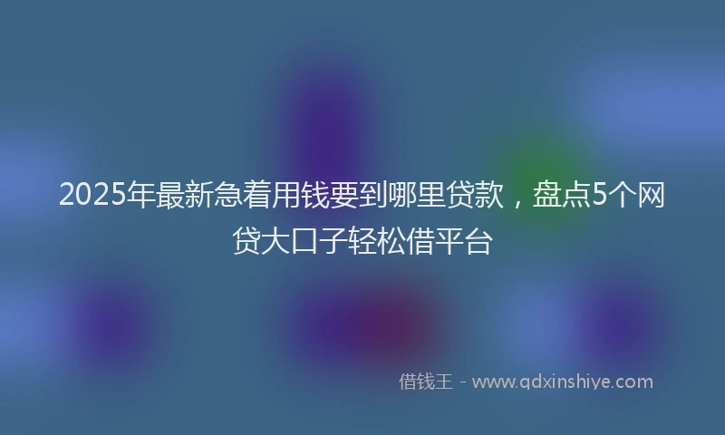 2025年最新急着用钱要到哪里贷款，盘点5个网贷大口子轻松借平台