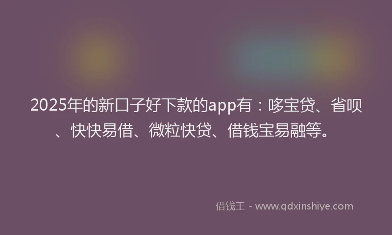 2025年的新口子好下款的app有：哆宝贷、省呗、快快易借、微粒快贷、借钱宝易融等。