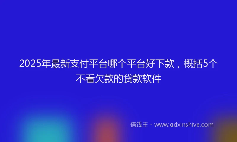 2025年最新支付平台哪个平台好下款，概括5个不看欠款的贷款软件