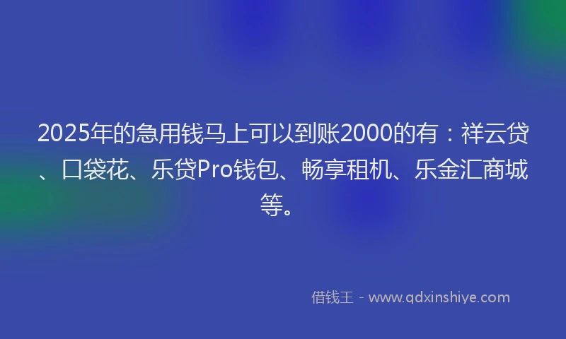 2025年的急用钱马上可以到账2000的有：祥云贷、口袋花、乐贷Pro钱包、畅享租机、乐金汇商城等。