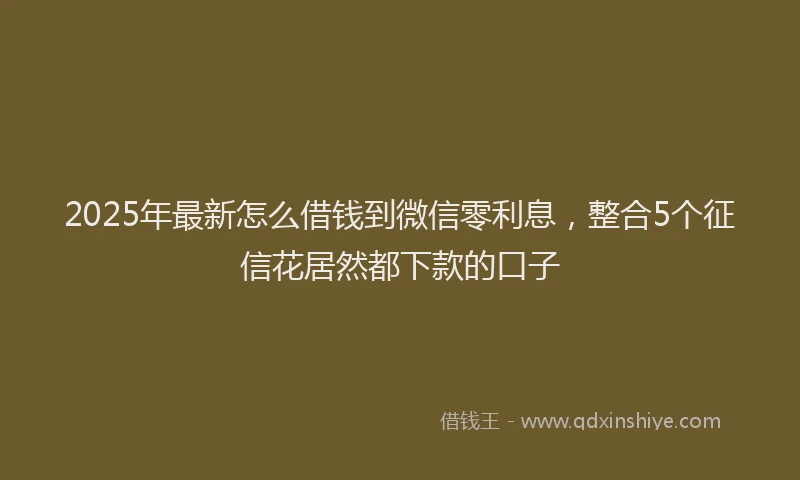 2025年最新怎么借钱到微信零利息，整合5个征信花居然都下款的口子