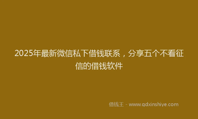2025年最新微信私下借钱联系，分享五个不看征信的借钱软件
