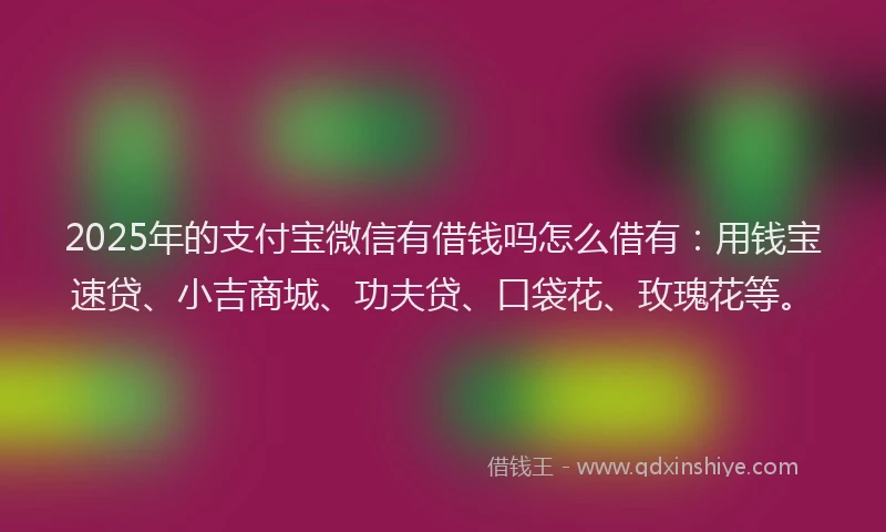 2025年的支付宝微信有借钱吗怎么借有：用钱宝速贷、小吉商城、功夫贷、口袋花、玫瑰花等。