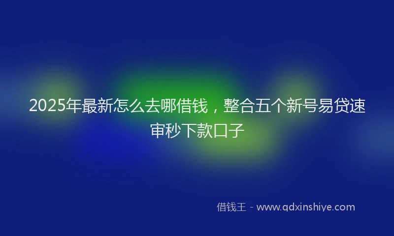2025年最新怎么去哪借钱，整合五个新号易贷速审秒下款口子