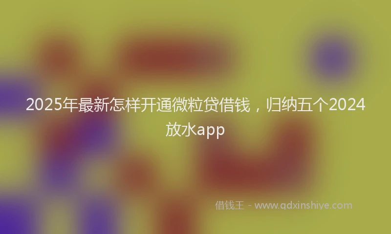 2025年最新怎样开通微粒贷借钱，归纳五个2024放水app