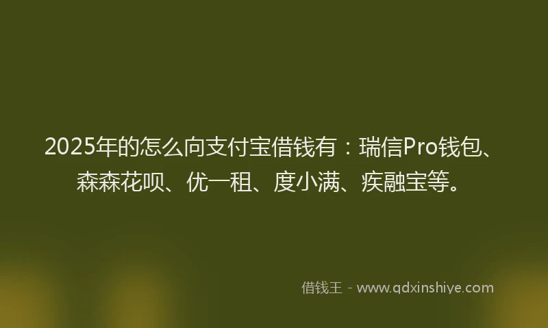 2025年的怎么向支付宝借钱有：瑞信Pro钱包、森森花呗、优一租、度小满、疾融宝等。