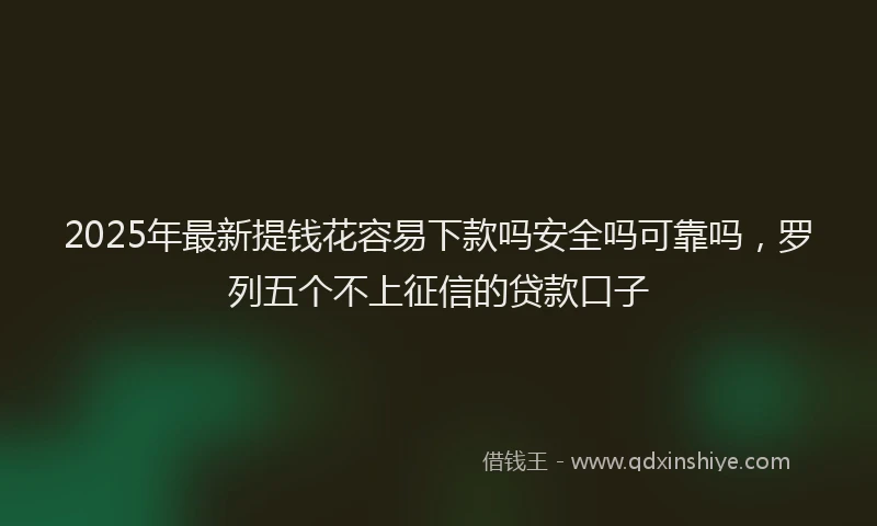 2025年最新提钱花容易下款吗安全吗可靠吗，罗列五个不上征信的贷款口子