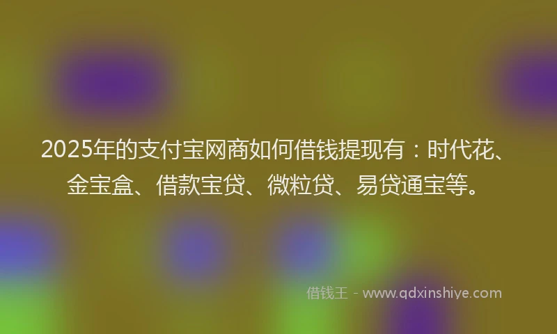 2025年的支付宝网商如何借钱提现有：时代花、金宝盒、借款宝贷、微粒贷、易贷通宝等。