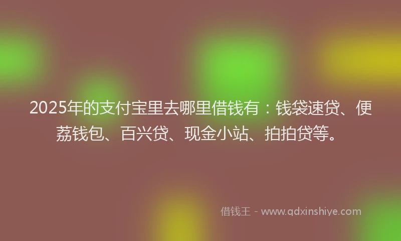 2025年的支付宝里去哪里借钱有：钱袋速贷、便荔钱包、百兴贷、现金小站、拍拍贷等。