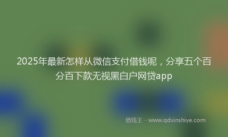 2025年最新怎样从微信支付借钱呢，分享五个百分百下款无视黑白户网贷app
