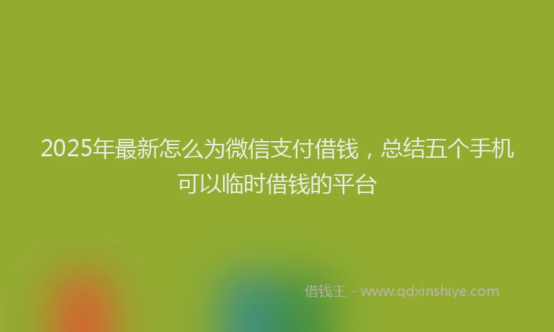 2025年最新怎么为微信支付借钱，总结五个手机可以临时借钱的平台
