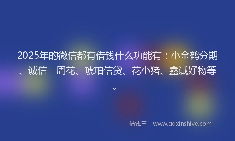 2025年的微信都有借钱什么功能有：小金鹤分期、诚信一周花、琥珀信贷、花小猪、鑫诚好物等。