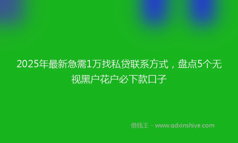 2025年最新急需1万找私贷联系方式，盘点5个无视黑户花户必下款口子