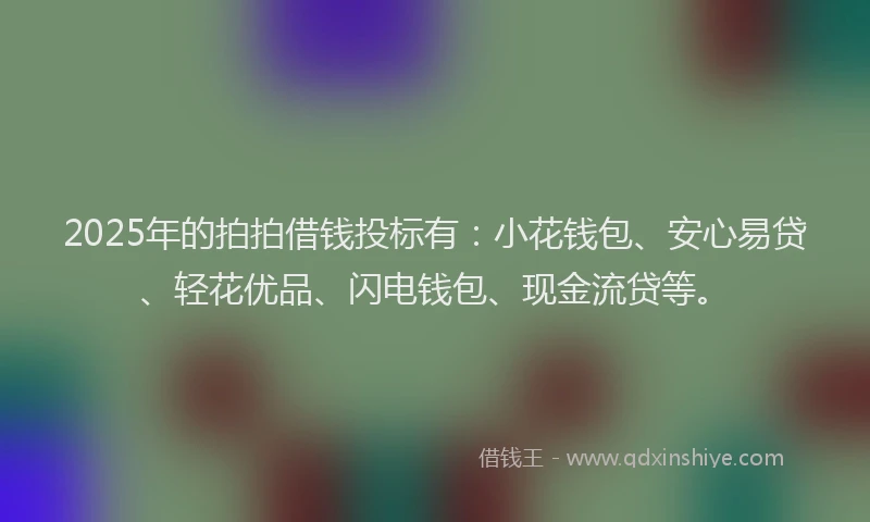 2025年的拍拍借钱投标有：小花钱包、安心易贷、轻花优品、闪电钱包、现金流贷等。