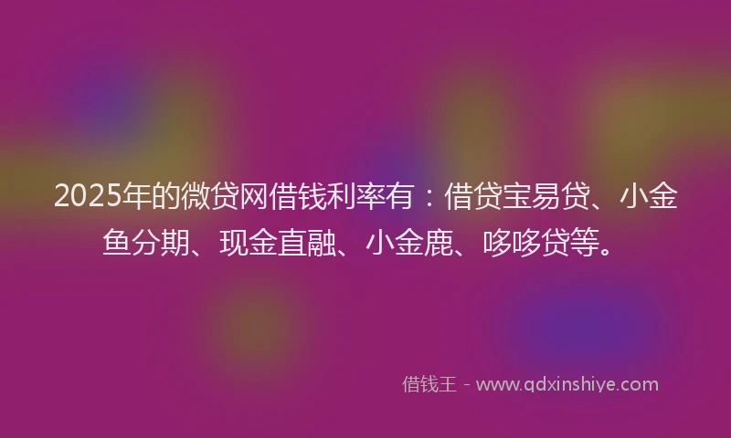 2025年的微贷网借钱利率有：借贷宝易贷、小金鱼分期、现金直融、小金鹿、哆哆贷等。
