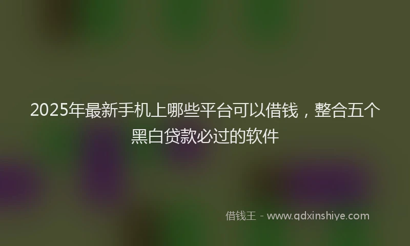 2025年最新手机上哪些平台可以借钱，整合五个黑白贷款必过的软件