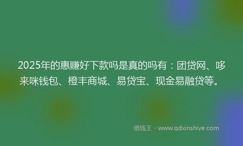 2025年的惠赚好下款吗是真的吗有:团贷网、哆来咪钱包、橙丰商城、易贷宝、现金易融贷等。