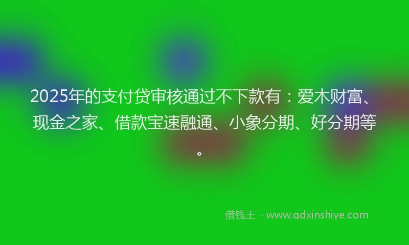 2025年的支付贷审核通过不下款有：爱木财富、现金之家、借款宝速融通、小象分期、好分期等。