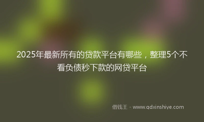 2025年最新所有的贷款平台有哪些，整理5个不看负债秒下款的网贷平台