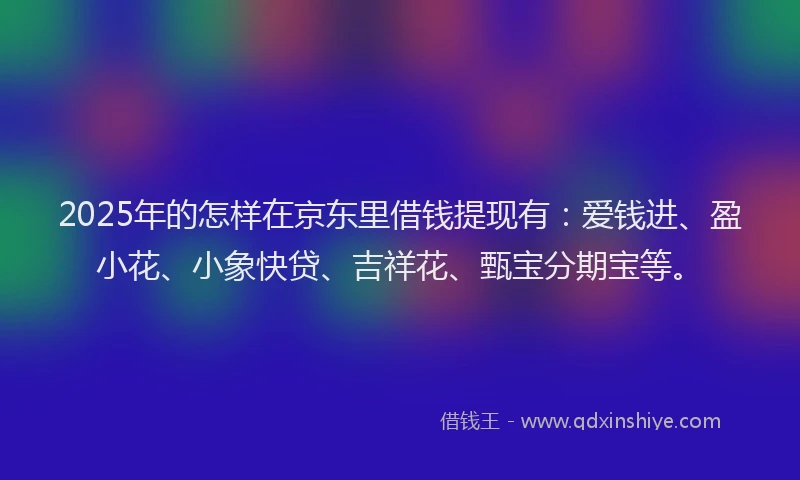 2025年的怎样在京东里借钱提现有：爱钱进、盈小花、小象快贷、吉祥花、甄宝分期宝等。