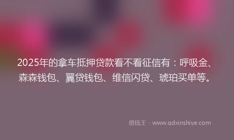 2025年的拿车抵押贷款看不看征信有：呼吸金、森森钱包、翼贷钱包、维信闪贷、琥珀买单等。
