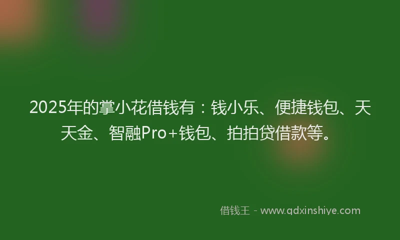2025年的掌小花借钱有：钱小乐、便捷钱包、天天金、智融Pro+钱包、拍拍贷借款等。
