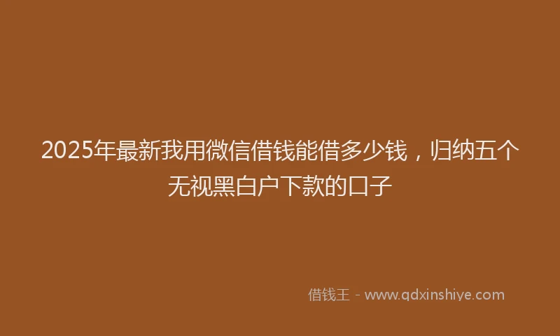 2025年最新我用微信借钱能借多少钱，归纳五个无视黑白户下款的口子