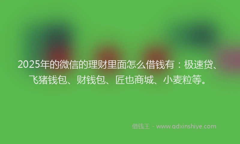2025年的微信的理财里面怎么借钱有：极速贷、飞猪钱包、财钱包、匠也商城、小麦粒等。
