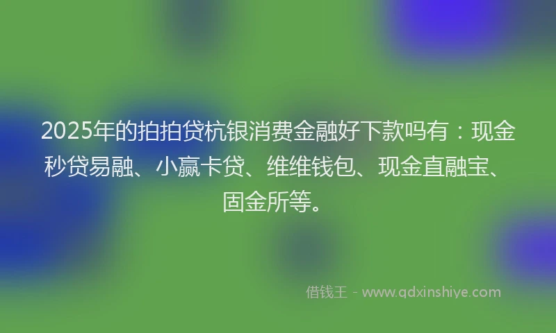 2025年的拍拍贷杭银消费金融好下款吗有：现金秒贷易融、小赢卡贷、维维钱包、现金直融宝、固金所等。