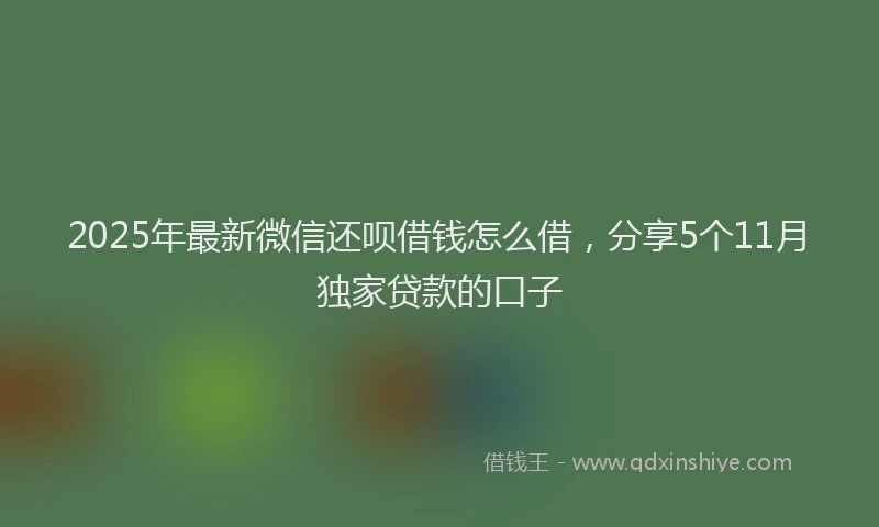 2025年最新微信还呗借钱怎么借，分享5个11月独家贷款的口子