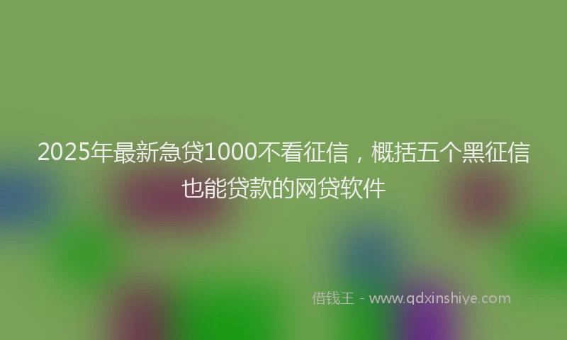2025年最新急贷1000不看征信，概括五个黑征信也能贷款的网贷软件