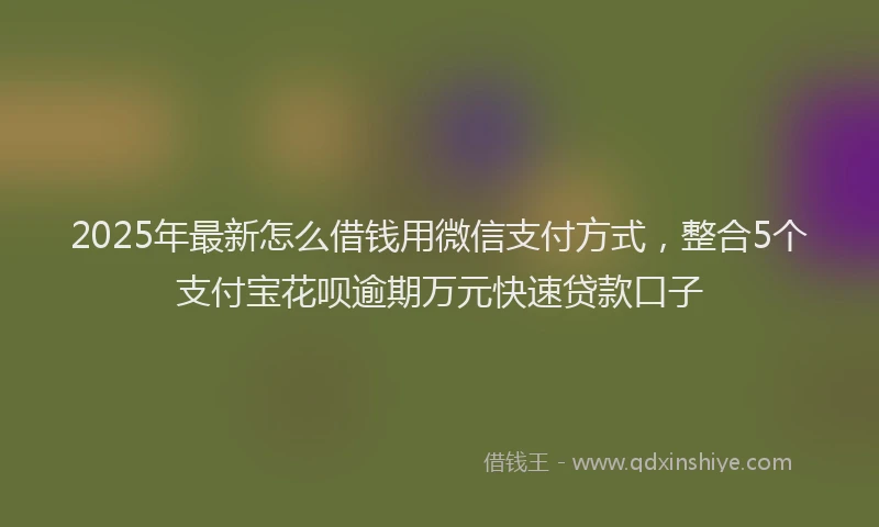 2025年最新怎么借钱用微信支付方式，整合5个支付宝花呗逾期万元快速贷款口子