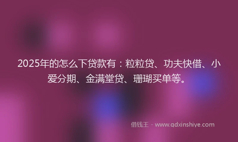2025年的怎么下贷款有：粒粒贷、功夫快借、小爱分期、金满堂贷、珊瑚买单等。