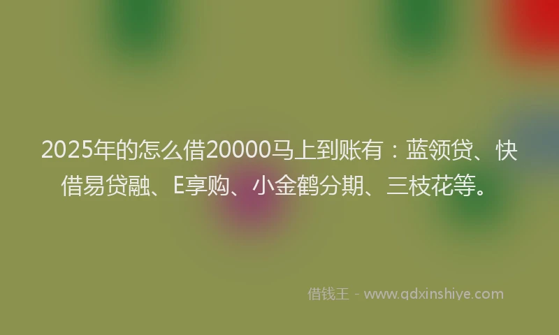 2025年的怎么借20000马上到账有：蓝领贷、快借易贷融、E享购、小金鹤分期、三枝花等。