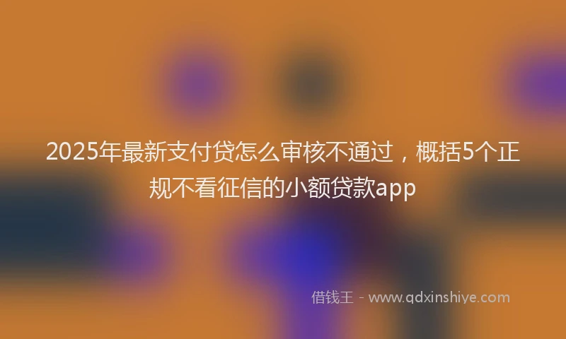 2025年最新支付贷怎么审核不通过，概括5个正规不看征信的小额贷款app